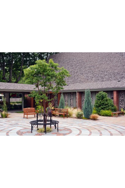 Декоративний клен сірий у ландшафтному дизайні